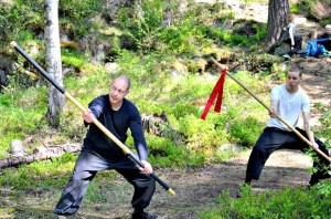 sifujoonaskeiha%cc%88a%cc%88t11143301_509027725928784_5305482556866377897_n